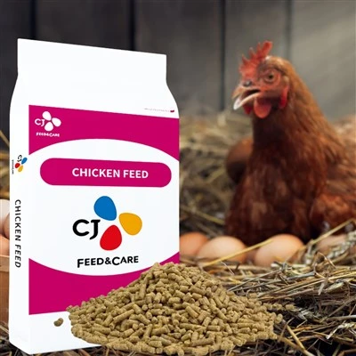Pellet de couche de poulet